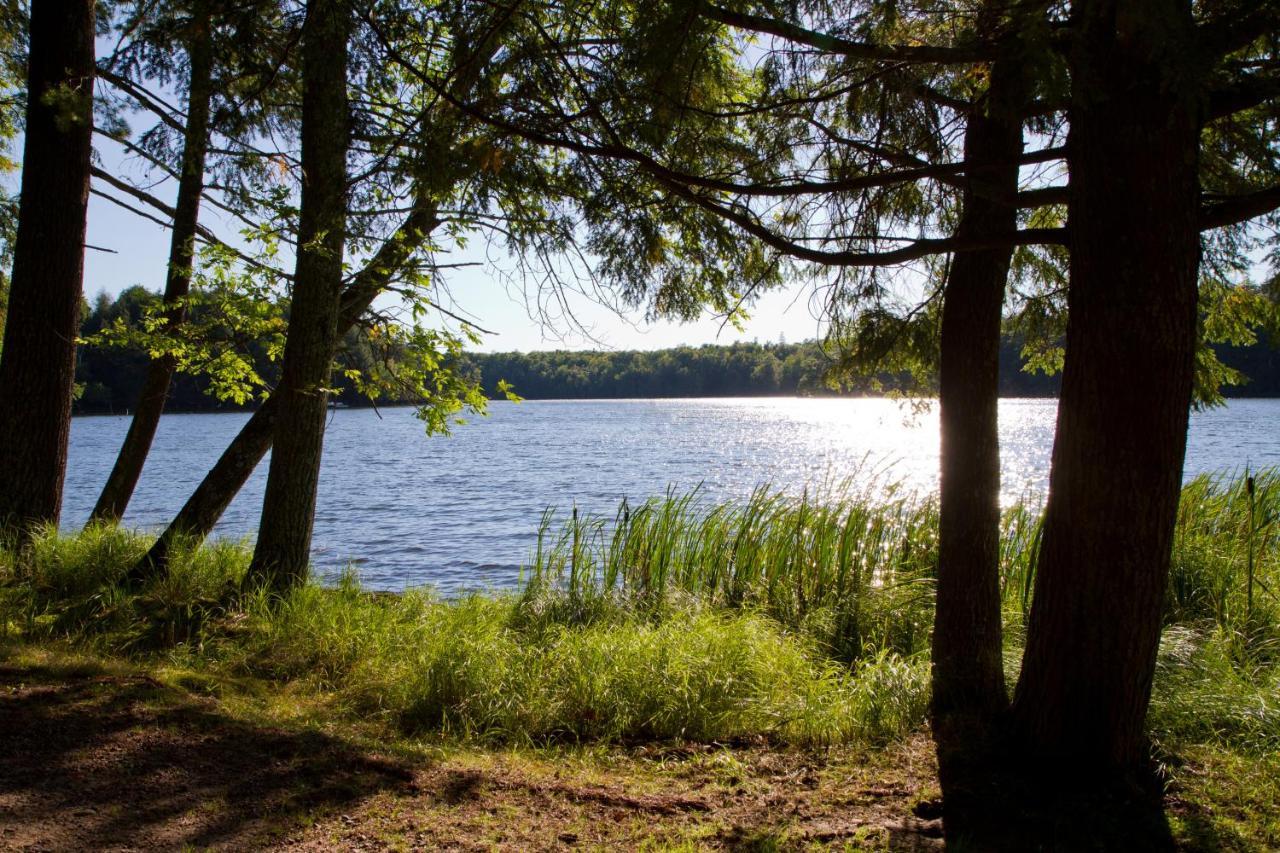 Ferienwohnung Am Weltnaturerbe Grumsin Ziehten Экстерьер фото