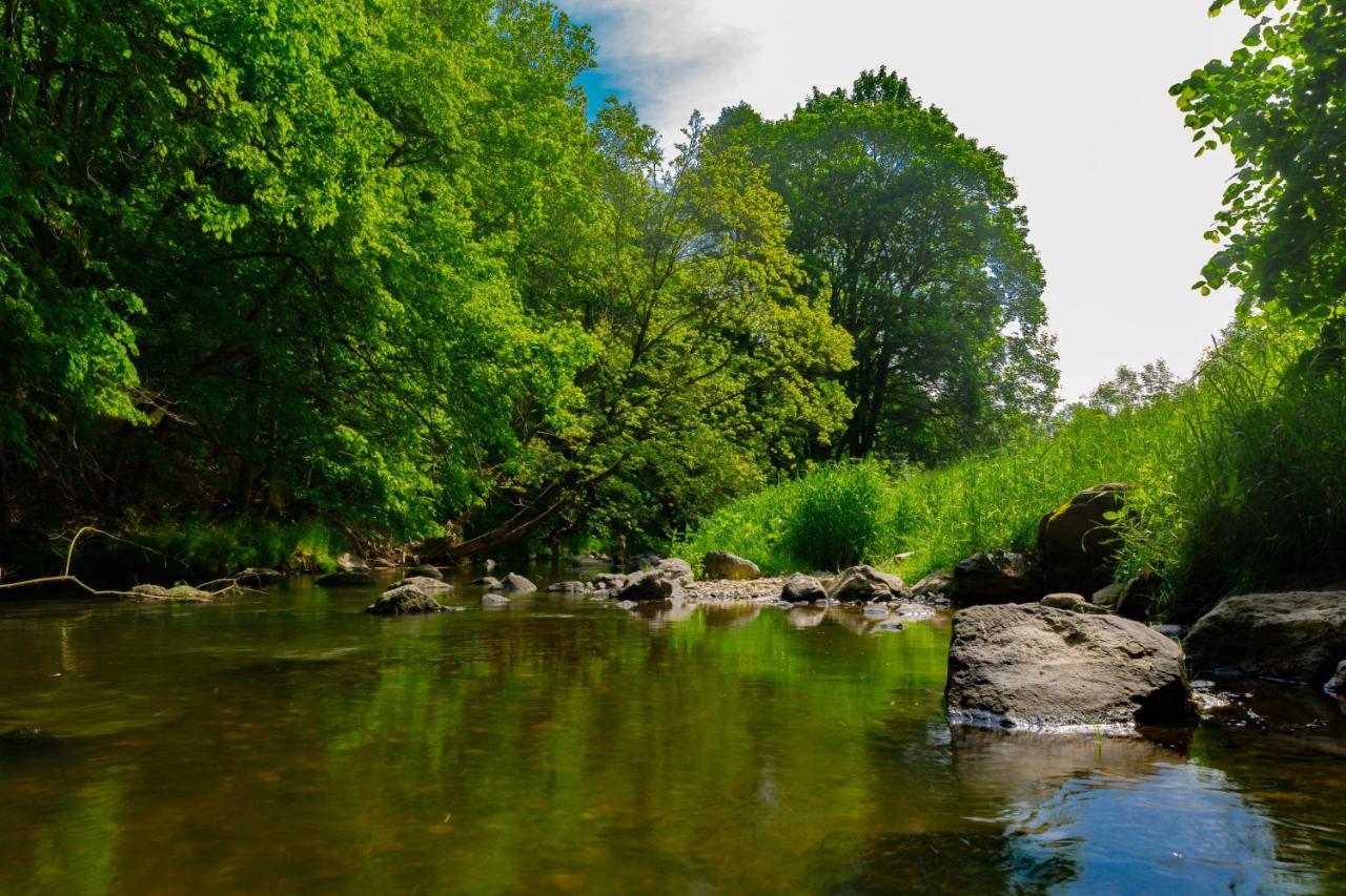 Ferienwohnung Am Weltnaturerbe Grumsin Ziehten Экстерьер фото