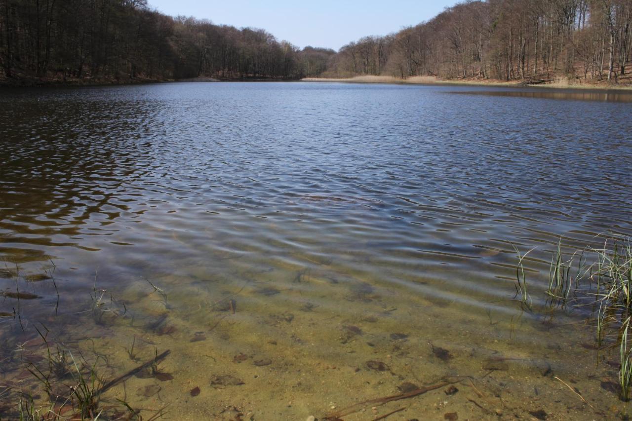 Ferienwohnung Am Weltnaturerbe Grumsin Ziehten Экстерьер фото